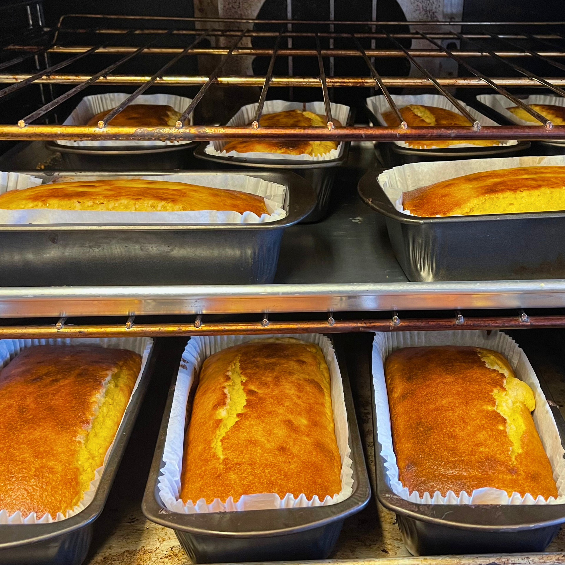 Several golden-brown loaves of bread baking in dark metal loaf pans lined with white paper on an oven rack.