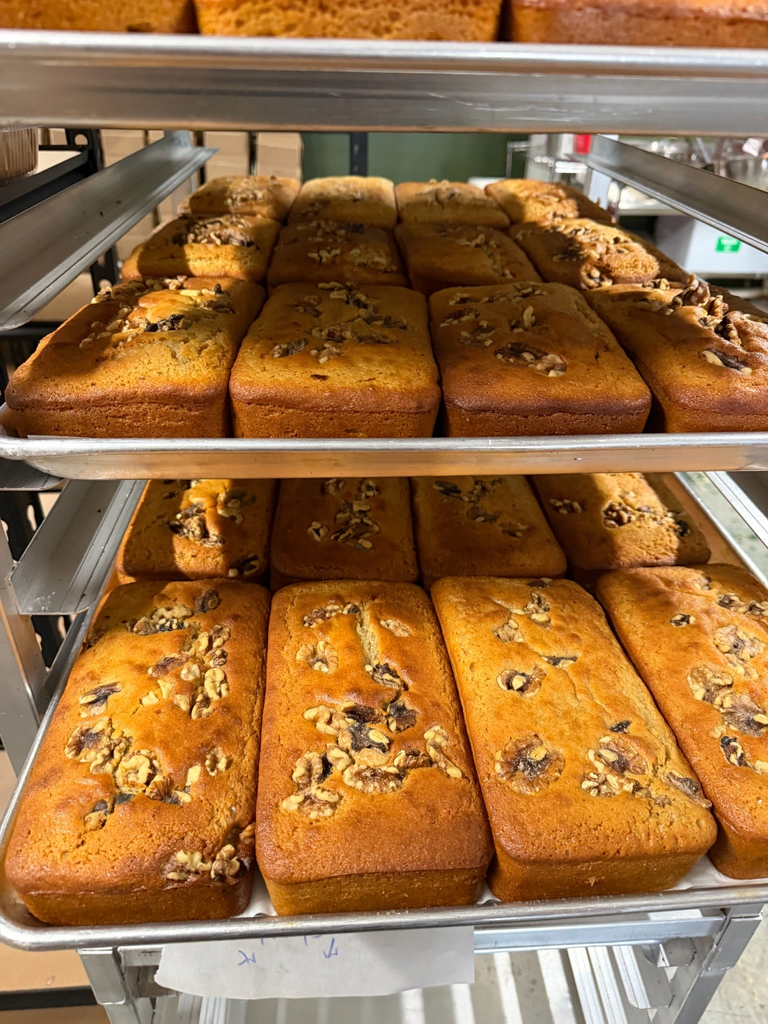 Multiple trays of freshly baked walnut bread loaves stacked on a metal bakery rack.